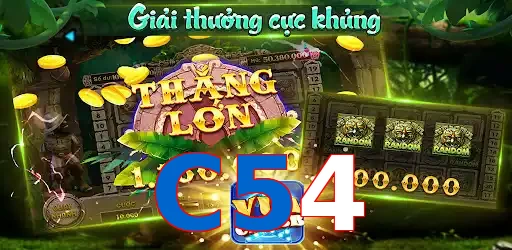 C54